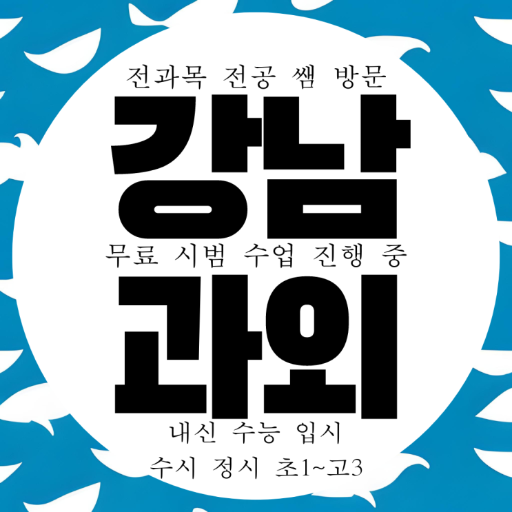 강남 자곡동 전문 방문 영수 과외 중등 중학교 내신 중학생 국어