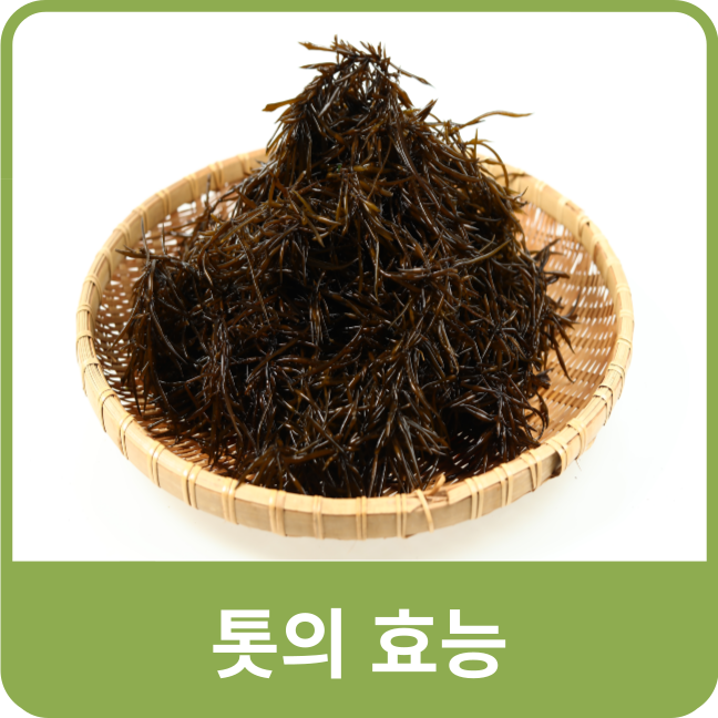  톳 효능 밥톳 건톳 말린톳 기초손질 응용 보관