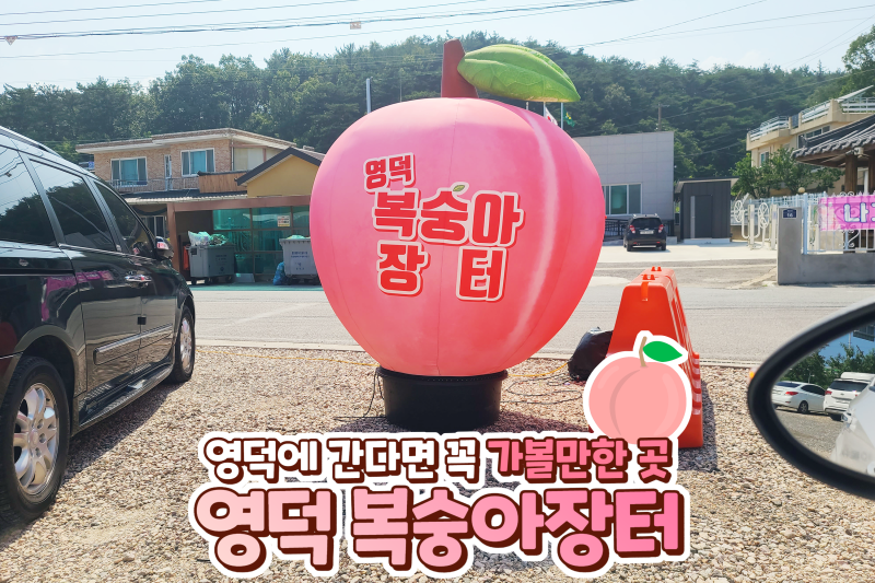 영덕복숭아축제 정보 영덕복숭아장터 경정해수욕장
