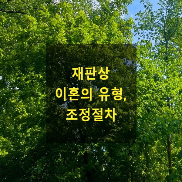  재판상 이혼의 유형, 조정절차