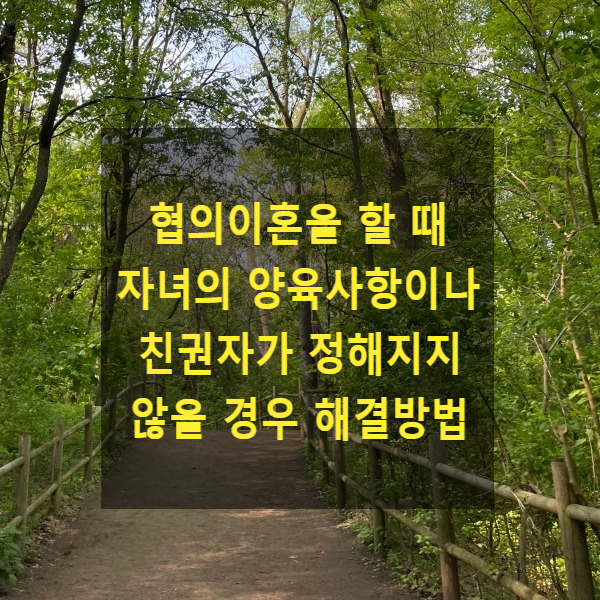  협의이혼을 할 때 자녀의 양육사항이나 친권자가 정해지지 않을 경우 해결방법(친권자 및 양육자 지정청구)