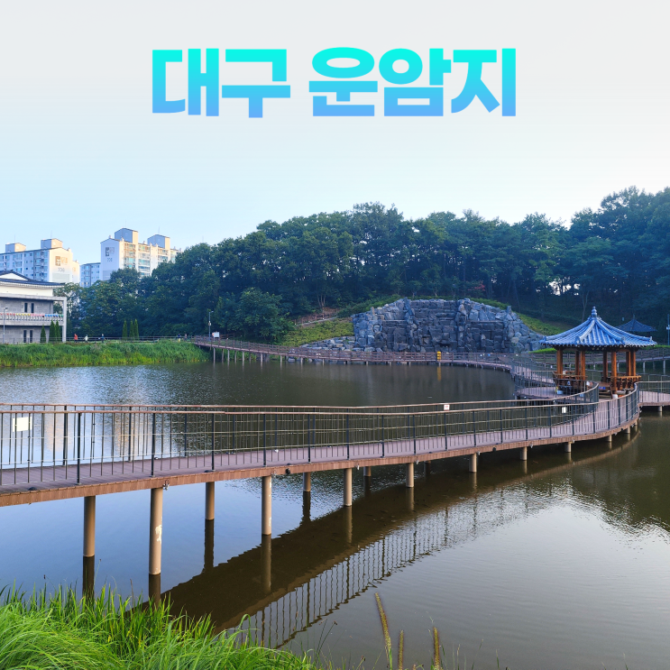 대구 운암지 아침 산책하기 좋은 그림같은 수변공원 대구 운암지 아침 산책하기 좋은 그림같은 수변공원