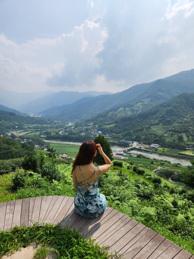  8월 하동여행 정금차밭 녹차밭 지리산둘레길
