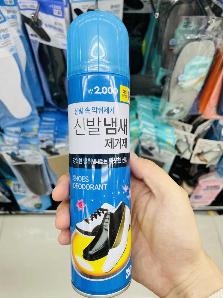  [내돈내산] 여름에 특히 사용하게 되는 다이소 신발 냄새 제거제(탈취제, 스프레이형) 후기