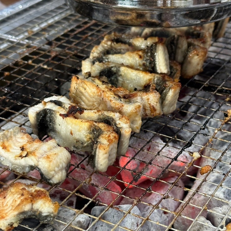  [봉곡동 장어 맛집] 풍천숯불민물장어