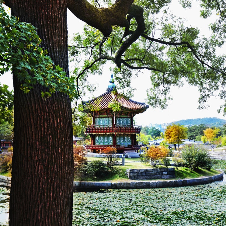 조선시대 왕 계보, 조선시대 왕 순서 (조선왕조 태정태세문단세/태종태세문단세)