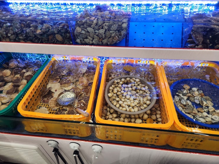  오산 맛집 - 오산무한리필조개구이