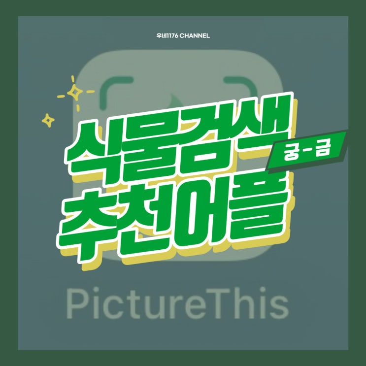  처음 보는 모르는 식물 이름 찾기 어플 추천 (네이버스마트렌즈vs픽쳐디스)