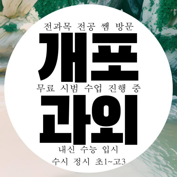  강남구 개포동 영수 전문 과외 개포2동 국어 과학 내신 대비 관리