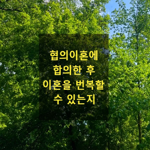  협의이혼에 합의한 후 이혼을 되돌릴 수 있는지