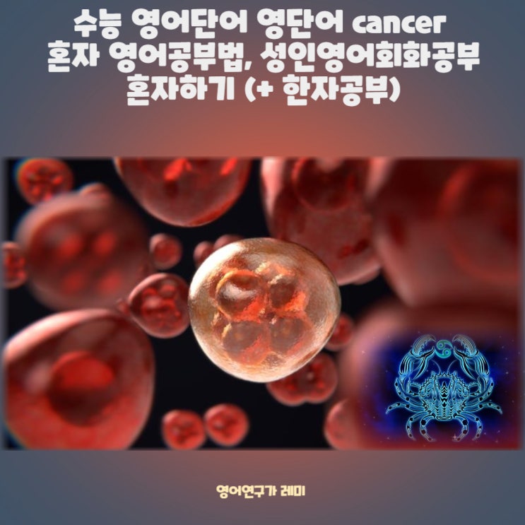 수능 영어단어 영단어 cancer 혼자 영어공부법,  성인 영어회화공부 혼자하기 (+ 한자공부)