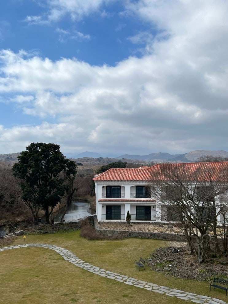  제주 숙소 새로생긴 에코랜드 호텔 저녁뷔페 수영장(인피니티풀) 뿌시기 디럭스 트윈 가든뷰
