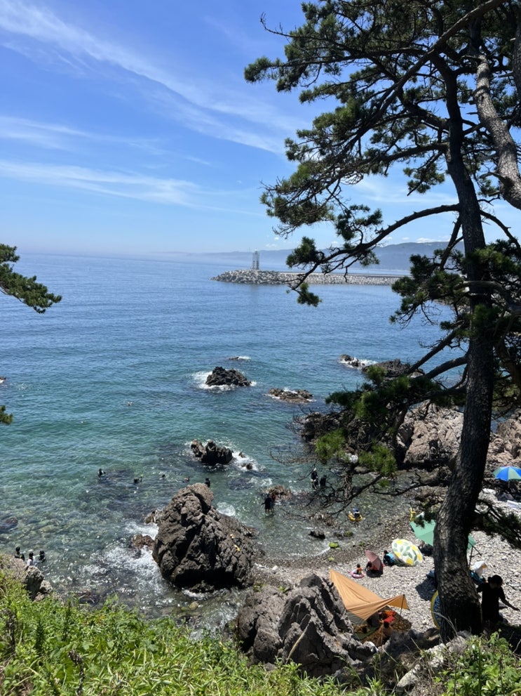 경주 바다수영 스노쿨링 수영스팟 송대말등대 경주 바다수영 스노쿨링 수영스팟 송대말등대