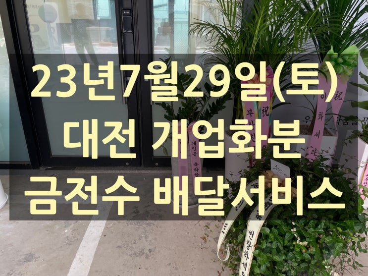  대전 개업화분 배달서비스(도안동)
