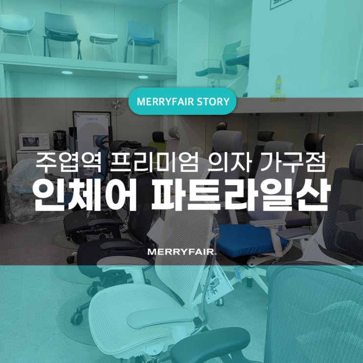  주엽역 인체어에서 프리미엄 사무용 수입 의자 다양하게 둘러보세요!