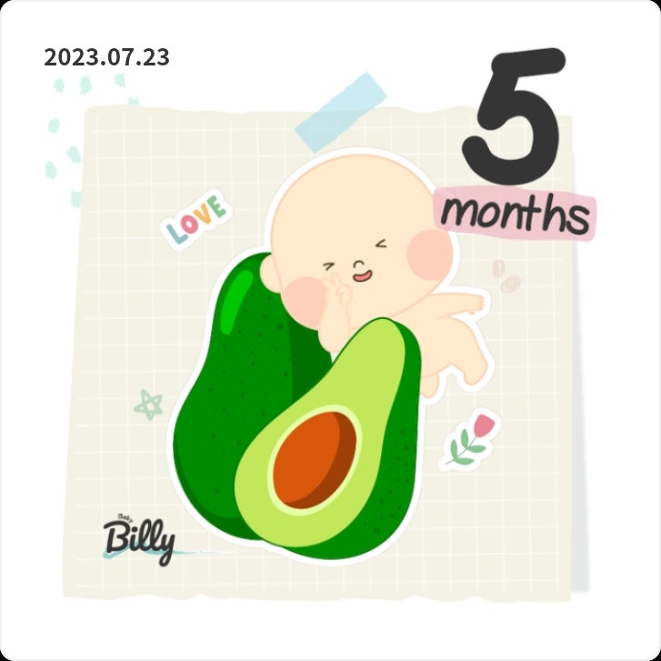  임신일기 16주차(5개월) 증상 순병원 2차기형아검사