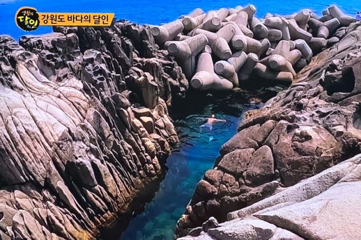  생활의달인 강원도 바다의 달인 (스노쿨링 명소, 유튜브 정보)
