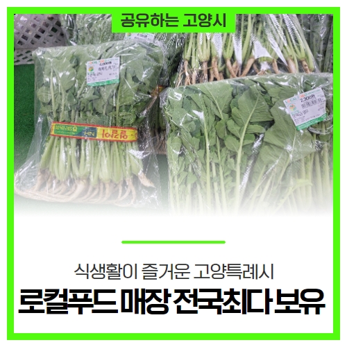 식생활이 즐거운 고양특례시, '로컬푸드 매장' 전국최다 보유 식생활이 즐거운 고양특례시, '로컬푸드 매장' 전국최다 보유