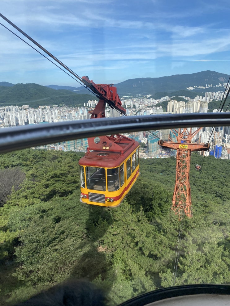  아이랑 방학에 뭐하지? 금강공원 케이블카타고 전망대까지 go!go! (feat. 장전동브런치, 블루그로토)