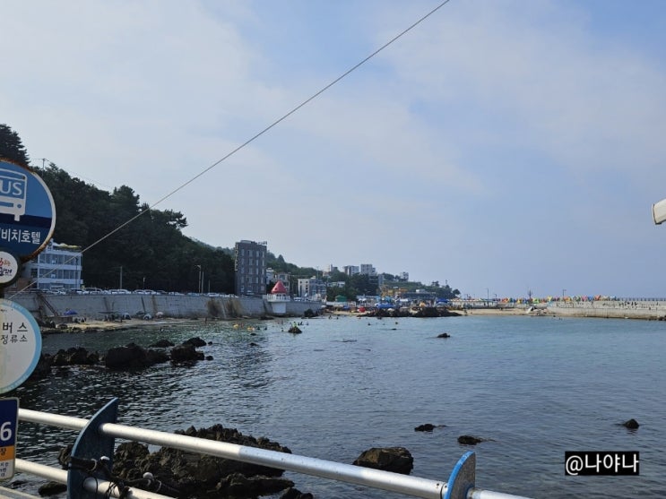  동해 묵호항 수산시장 활어판매센터 내돈내산후기