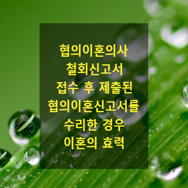  협의이혼의사 철회신고서 접수 후 제출된 협의이혼신고서를 수리한 경우 이혼의 효력