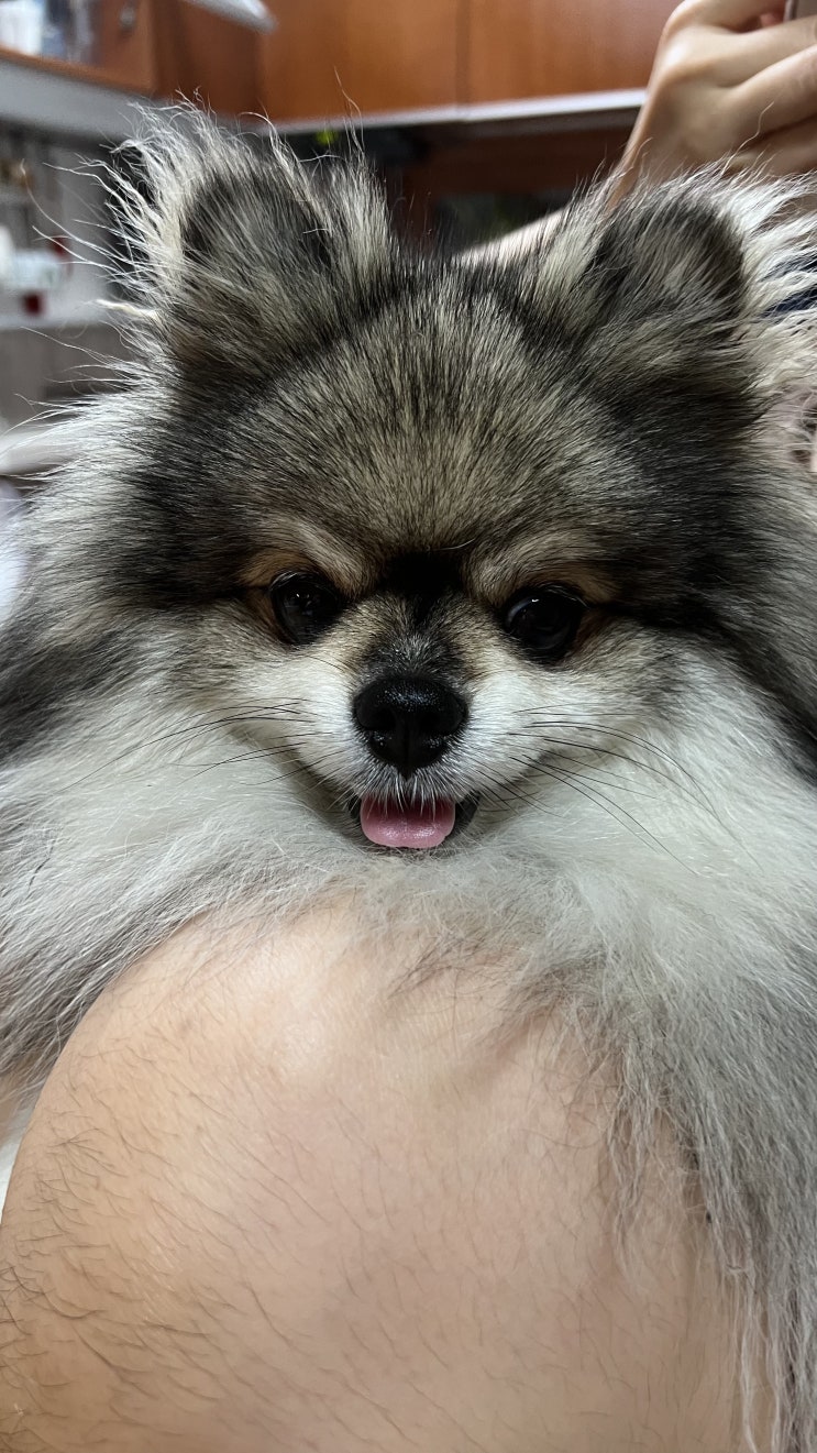  약간 이상한 표정의 꾸꾸