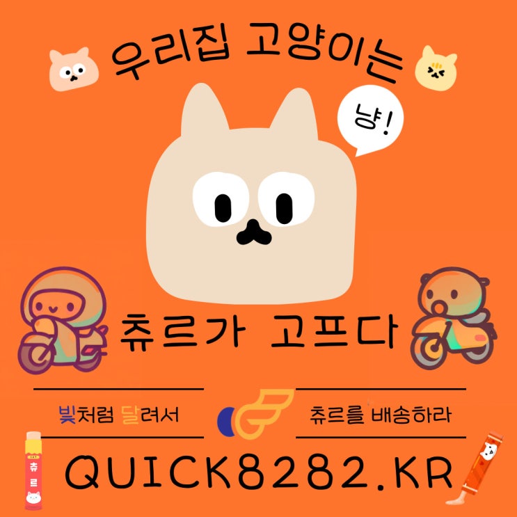  고양이 강아지 반려용품 퀵서비스 당일배송 빛달퀵[부산,양산,김해]