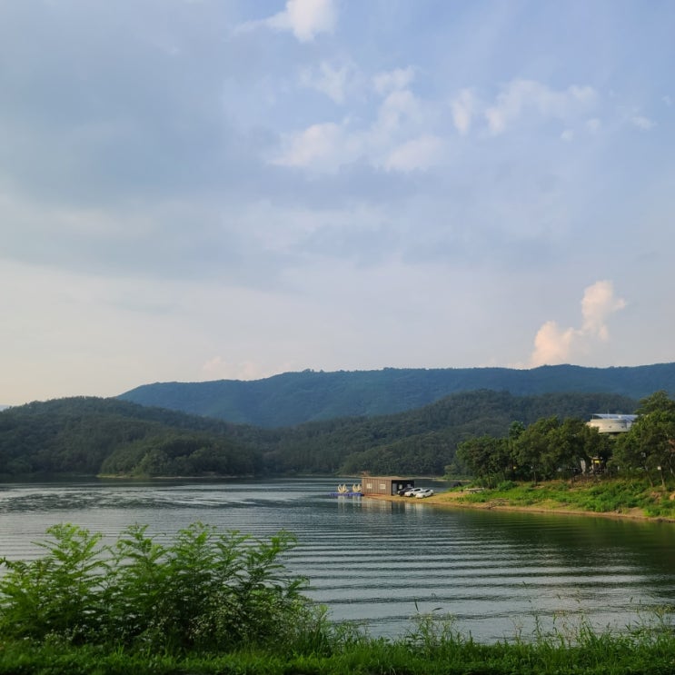  대구 동구 가볼만한 곳 봉무공원 강아지 동반 산책 코스