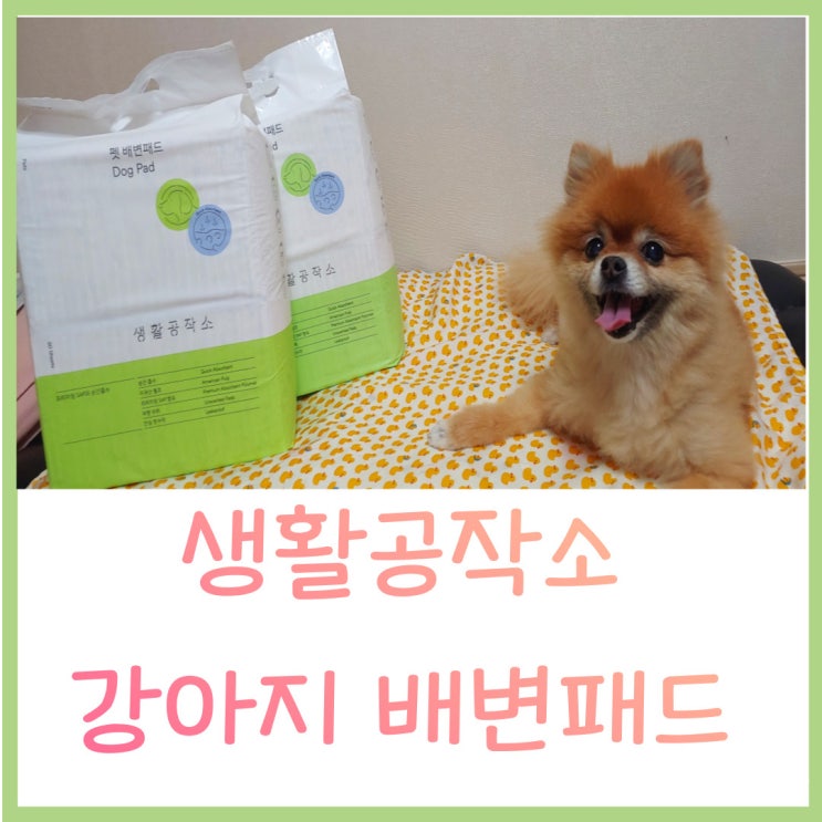  강아지 배변패드 생활공작소 강아지 패드 흡수력이 좋아요