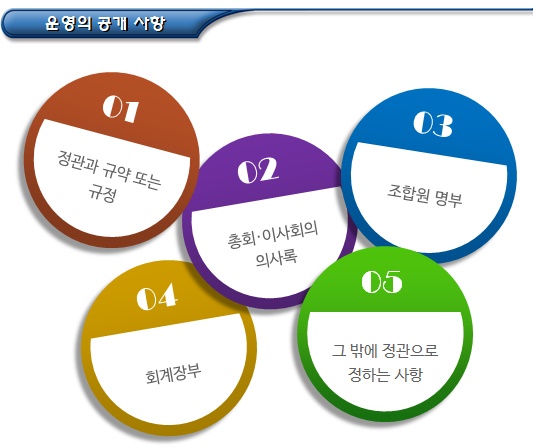 사회적협동조합연합회 회계(사업계획서 등) 사회적협동조합연합회 회계(사업계획서 등)