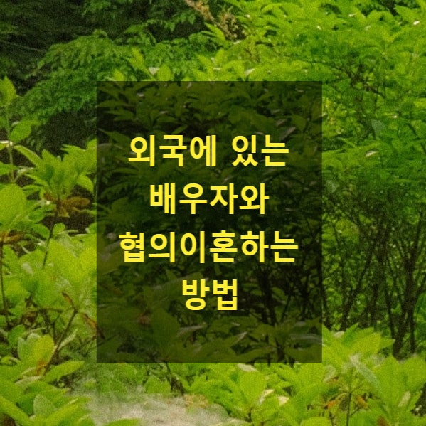  외국에 있는 배우자와 협의이혼하는 방법