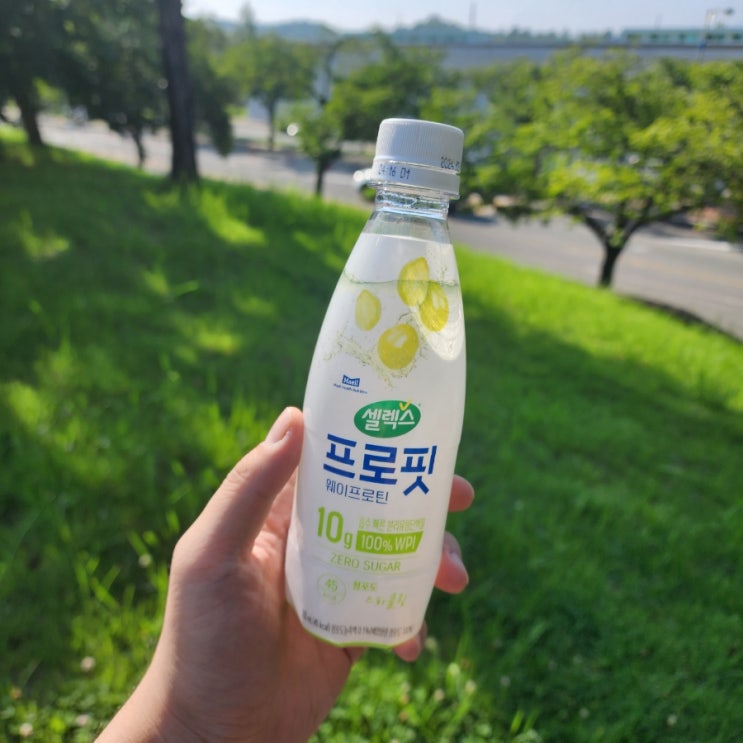  프로틴스파클링 탄산수추천 셀렉스 프로핏 청포도!!