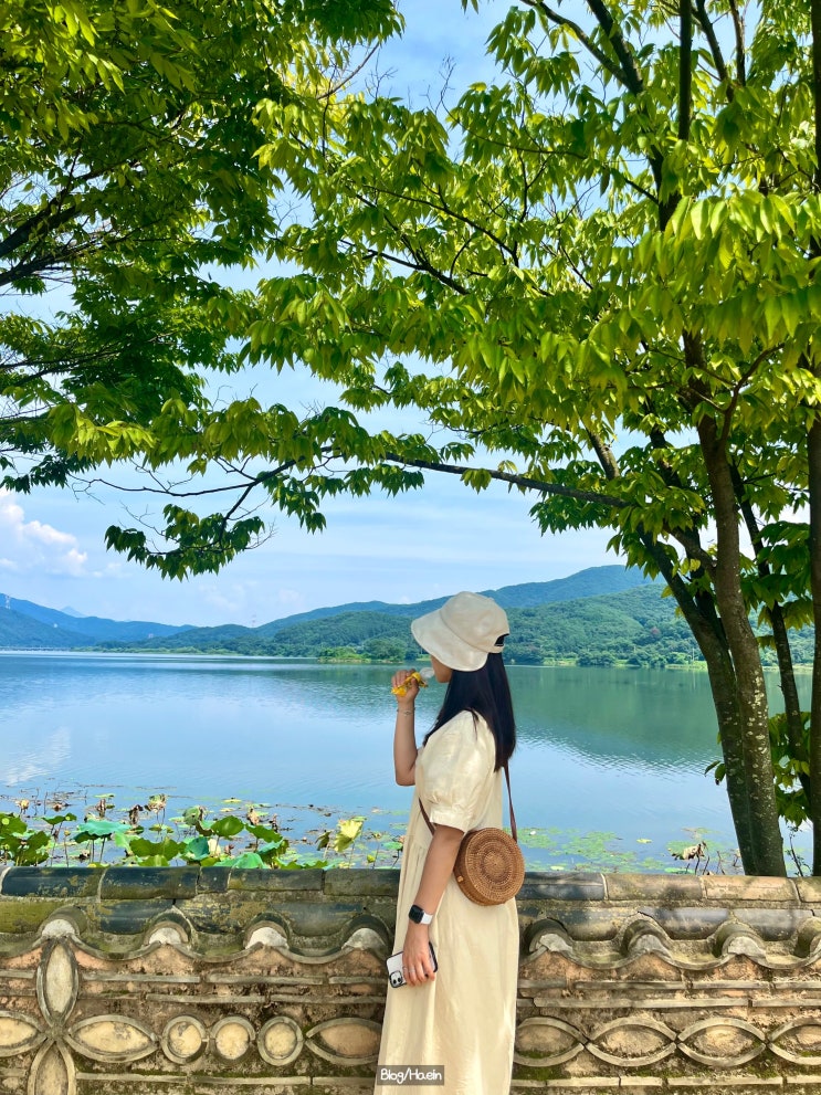  두물머리, 핫도그 먹고 사진 찍고 이열치열 여름 여행지 추천