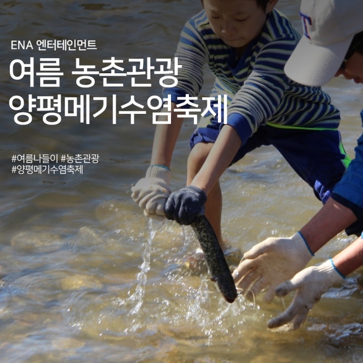  여름 농촌관광 추천 : 양평메기수염축제 정보