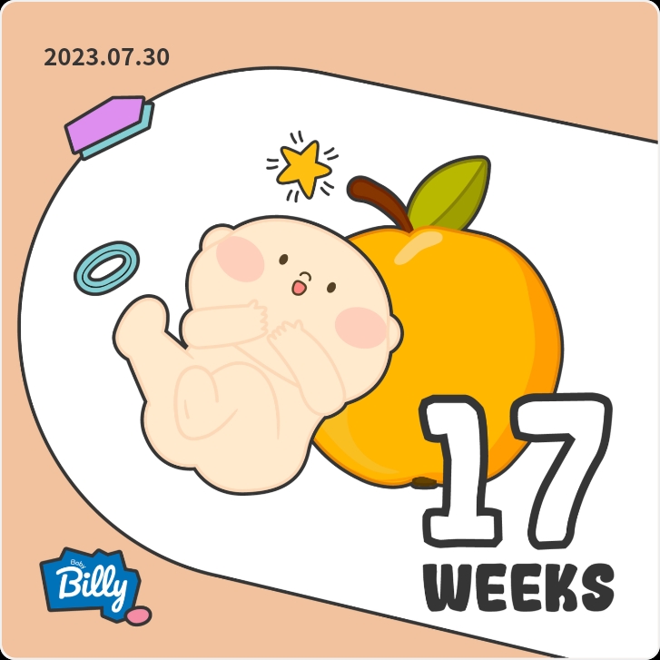  임신 17주차 증상 순병원 2차기형아검사결과 갑상선수치 순산후조리원 상담