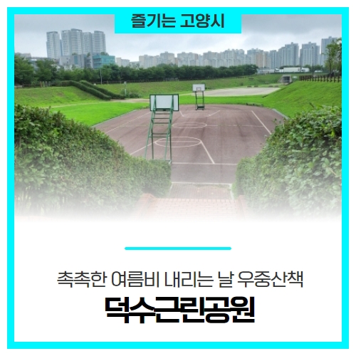 촉촉한 여름비 내리는 날 우중산책, 덕수근린공원 촉촉한 여름비 내리는 날 우중산책, 덕수근린공원