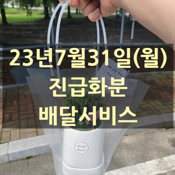  진급 꽃바구니, 화분 배달(원자력발전연구원)