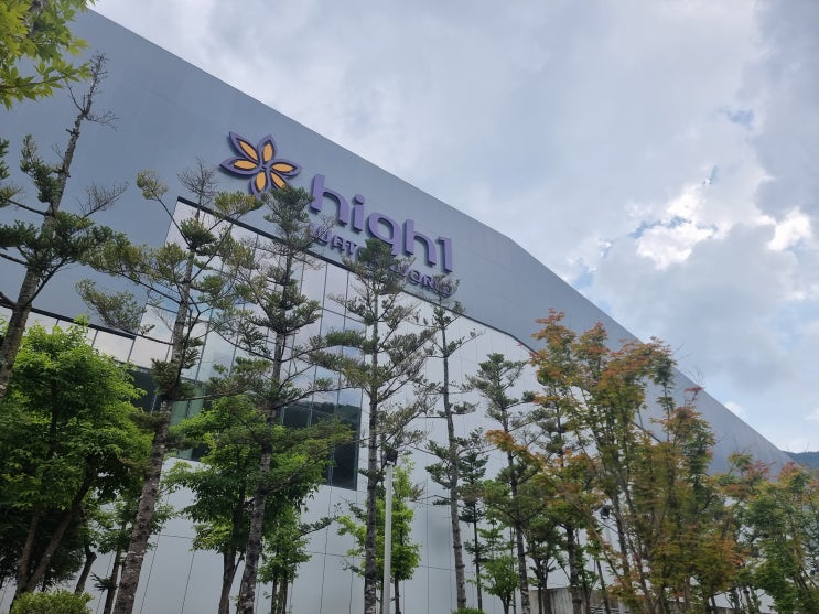  여름휴가추천 하이원워터파크 워터월드 후기