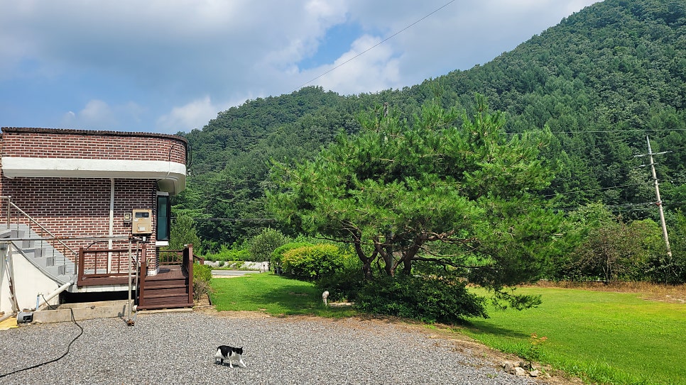 행복동산펜션 사진 1