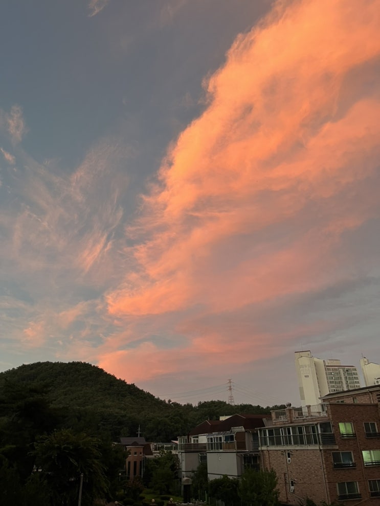  2023.08.05 콩이의 근황