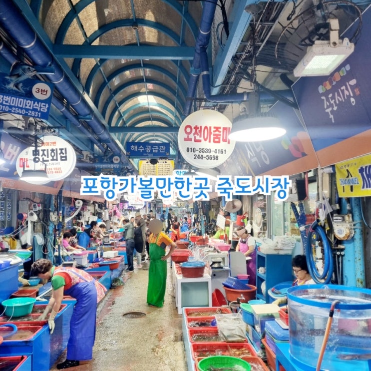 포항가볼만한곳 죽도시장 feat 화도회식당