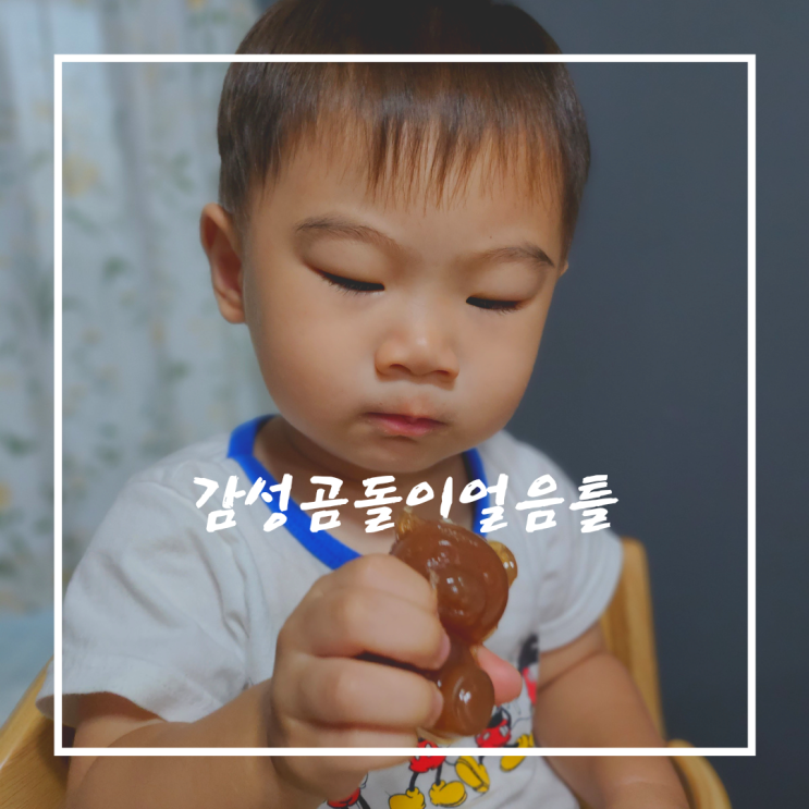 실리콘몰드로 귀여운 아기간식 만들기, 감성곰돌이 얼음틀
