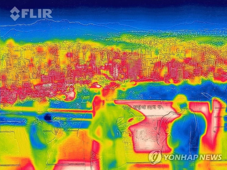 전 세계가 펄펄 끓는다…동물까지 보상 '폭염 보험' 눈길