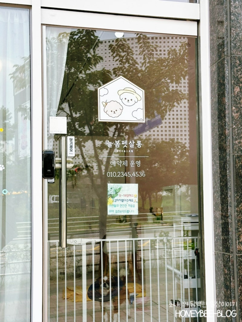 사진 3