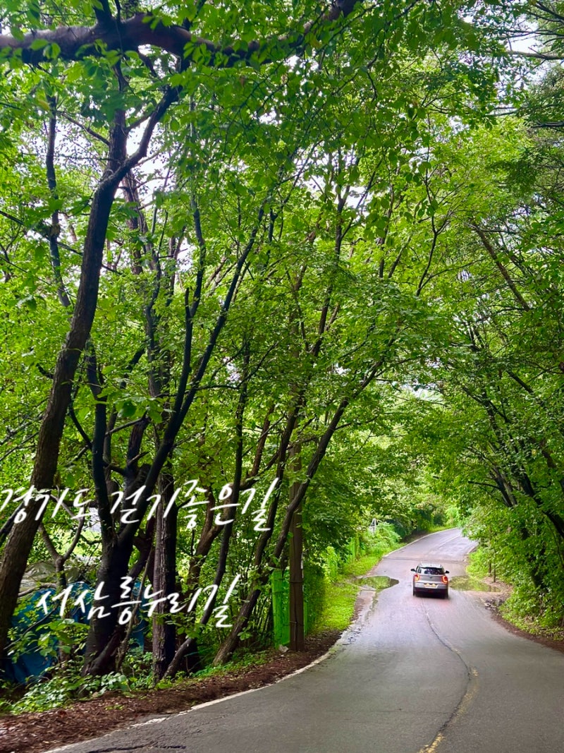 경기도 걷기좋은길 서삼릉누리길 트레킹