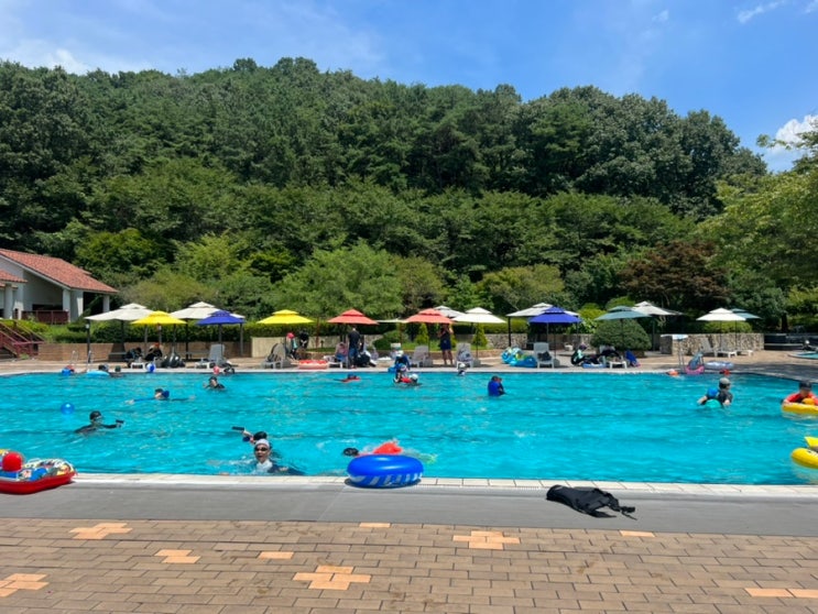  광주 근교 담양 리조트 추천! 아이와 함께 야외 수영장 & 온천 즐기기!