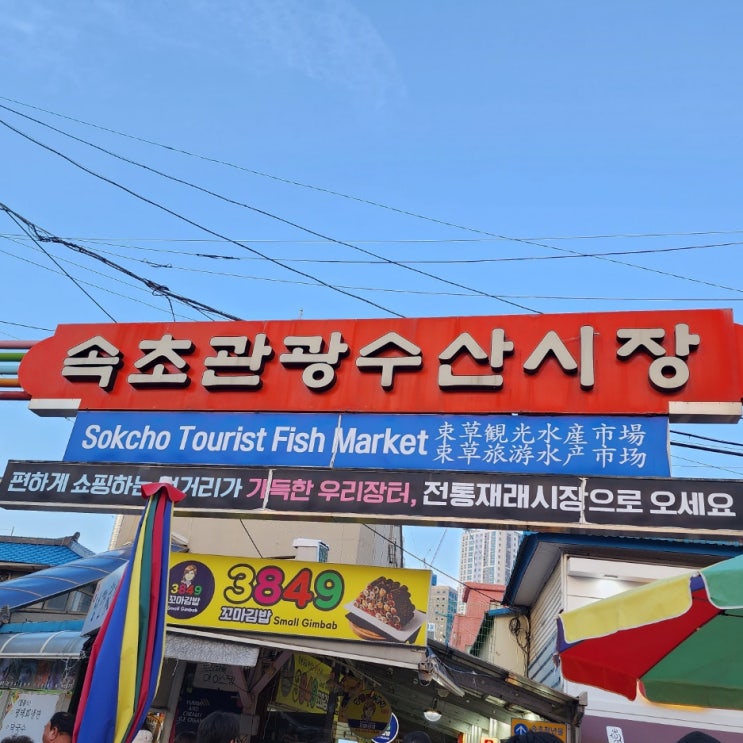  이틀동안 살펴 본 속초중앙시장 먹거리 추천(만석닭강정, 포장 대게, 튀각, 오징어순대)