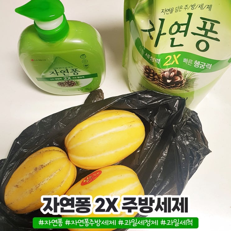 자연퐁 2X 과일 세척 가능한 과일세정제 자연퐁 2X 과일 세척 가능한 과일세정제