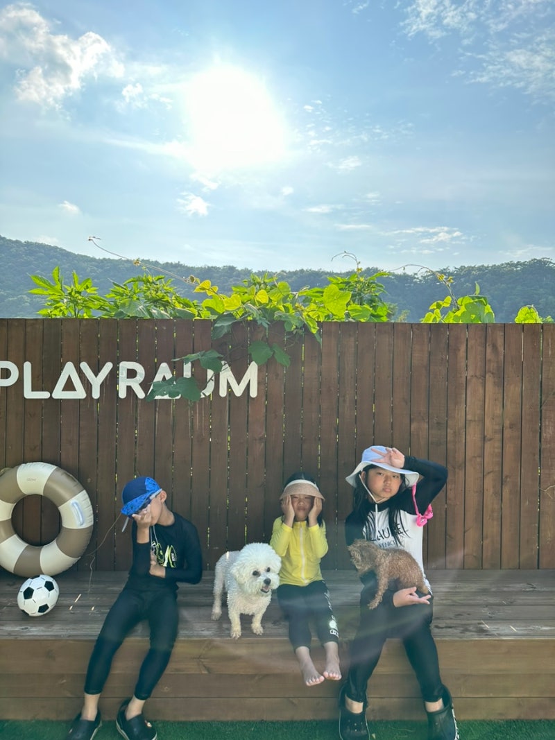 사진 3