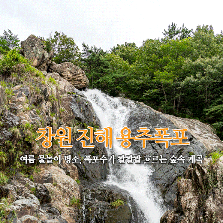  창원 진해 용추폭포, 여름 물놀이 명소 - 계곡 폭포수가 콸콸콸 흐르는 숲속 계곡 피서지